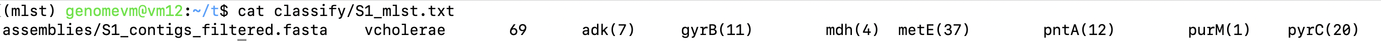 MLST output
